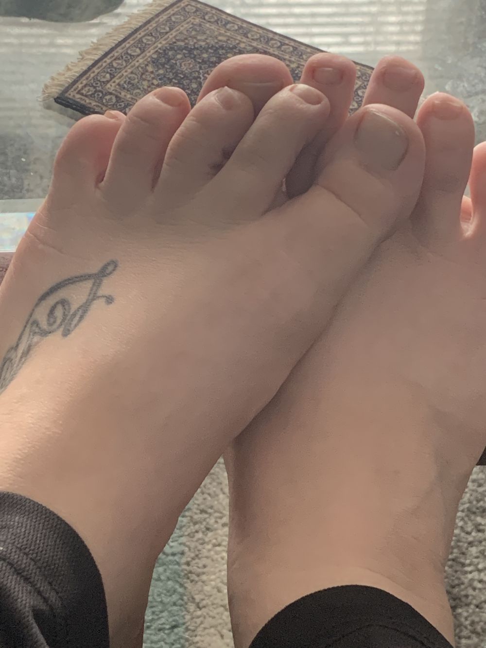 cutelittepiggies OnlyFans profile picture