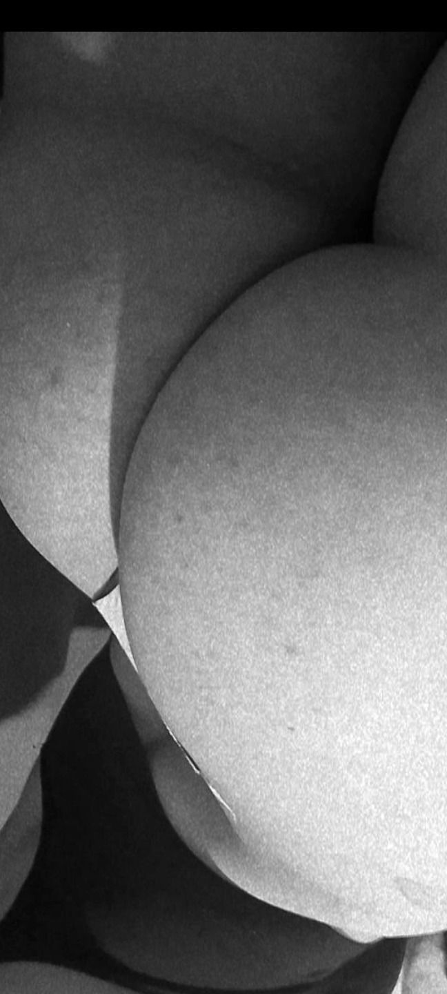 candeealtamiranda OnlyFans profile picture