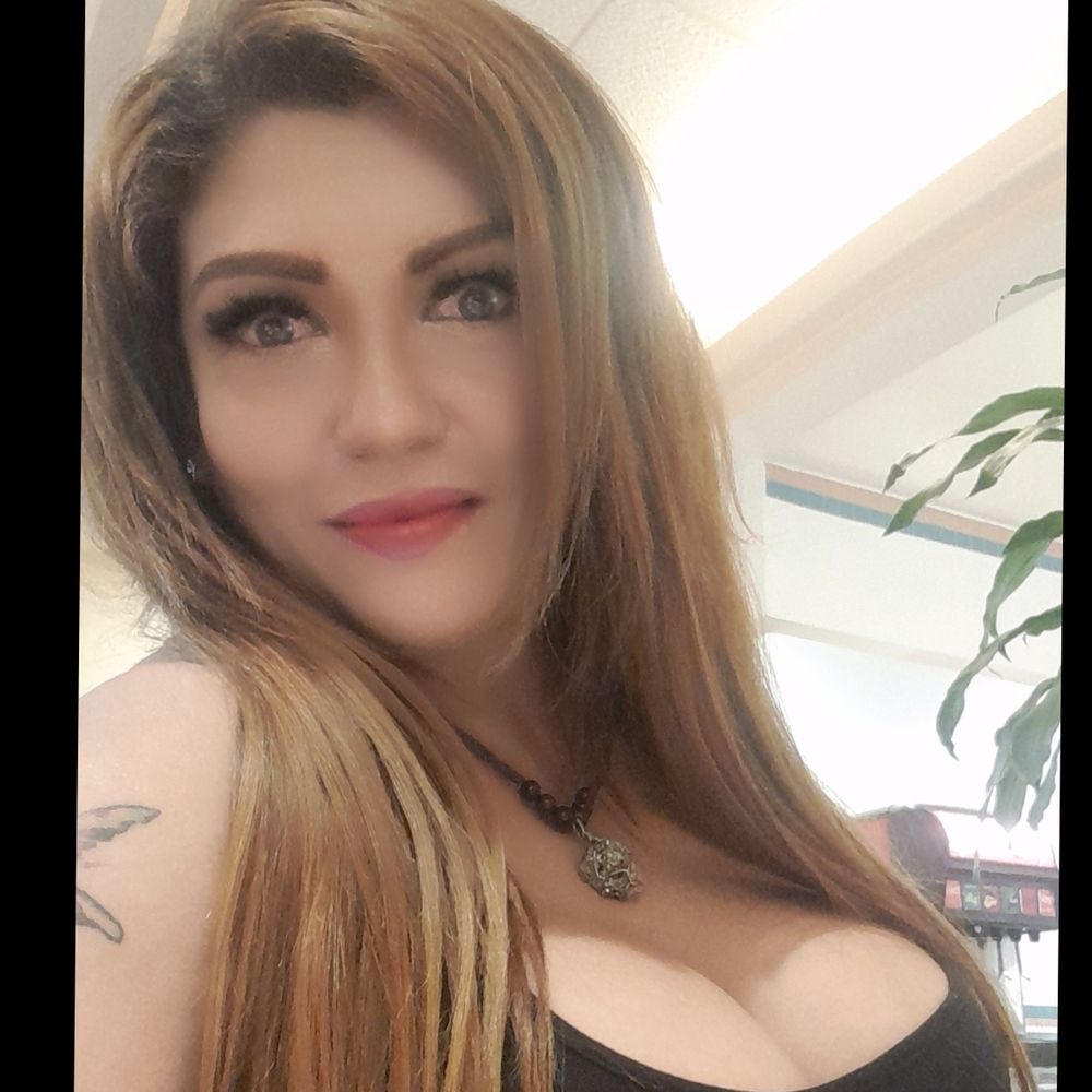 u263603937 OnlyFans profile picture