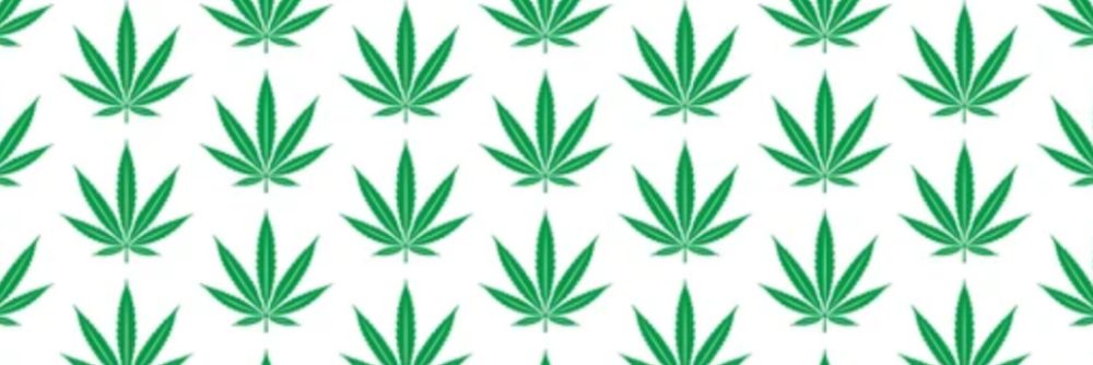 allyj420 OnlyFans profile picture