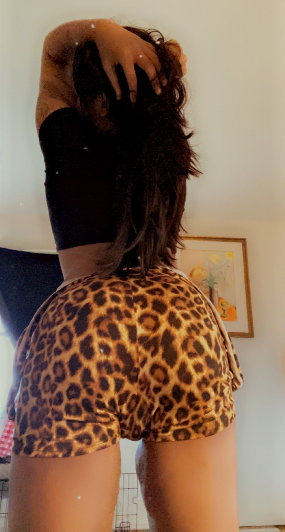 lisaalong OnlyFans profile picture