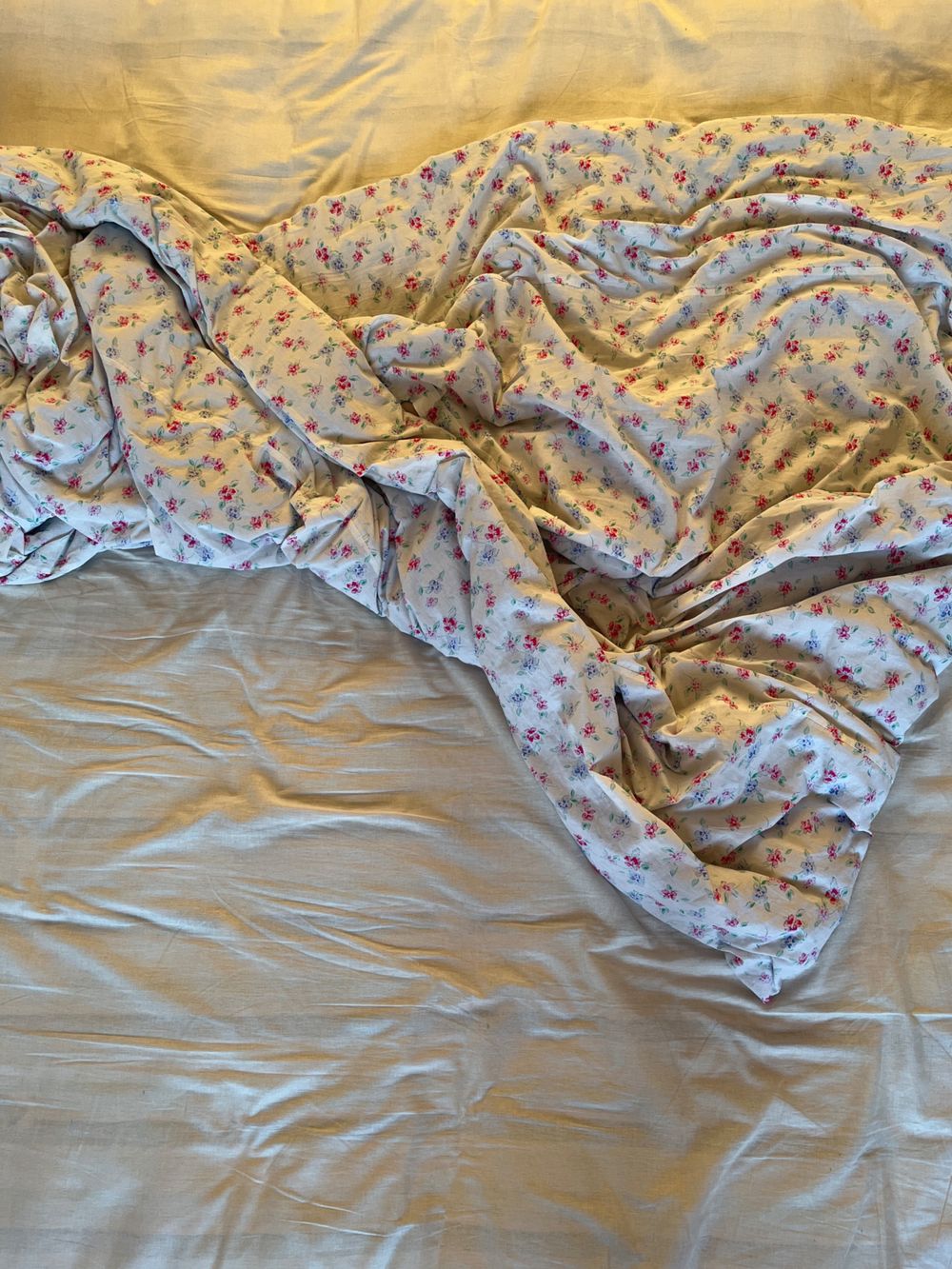 sleepingsonya OnlyFans profile picture