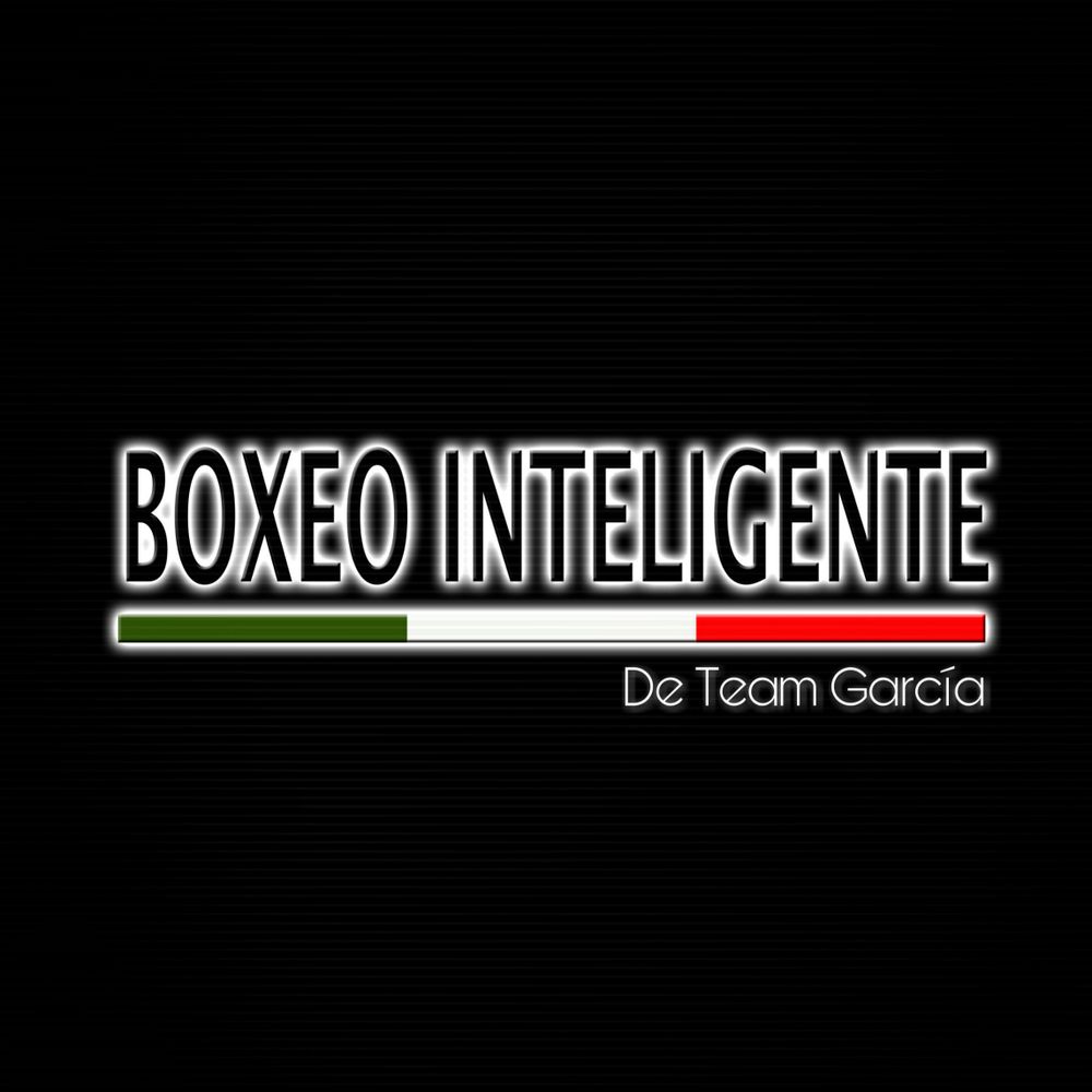 boxeointeligente OnlyFans profile picture