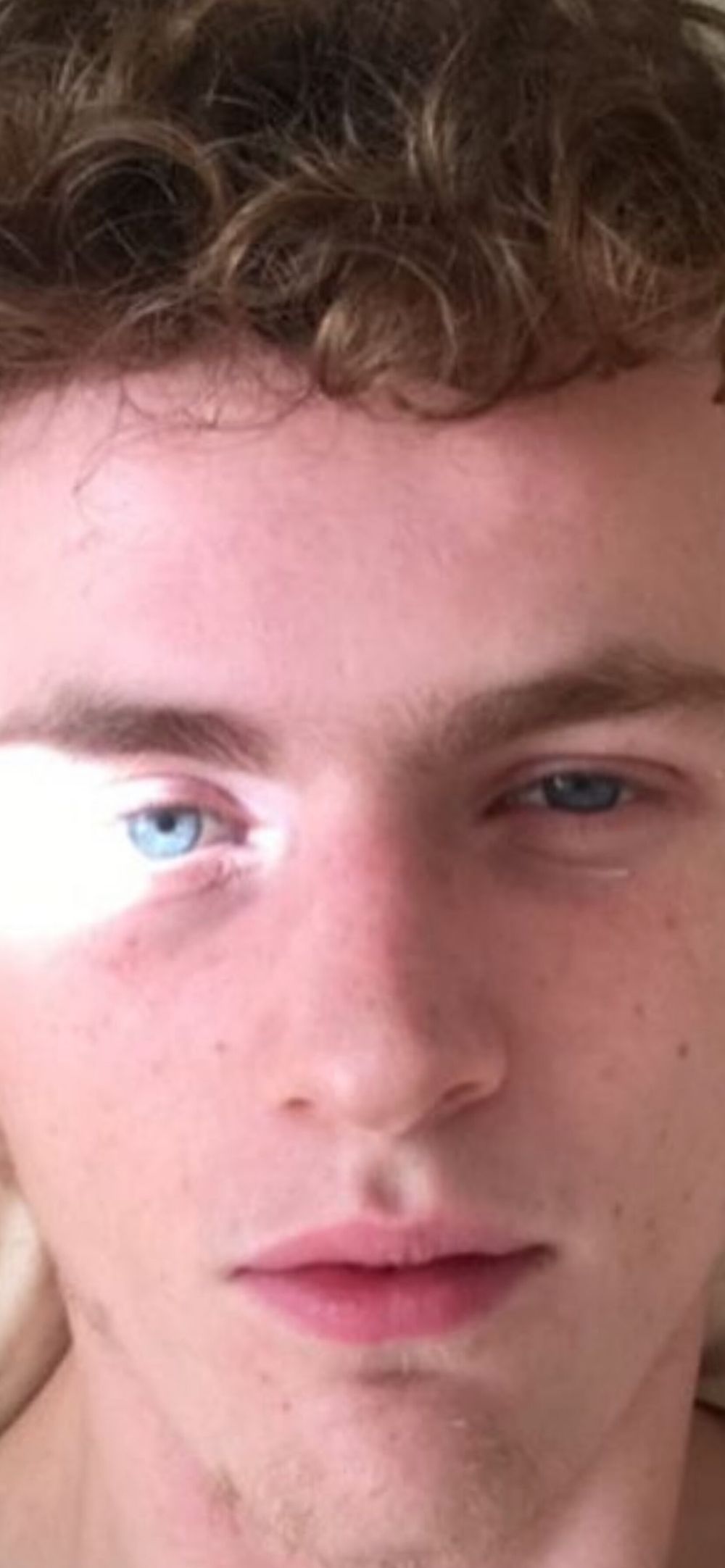 elliotfox OnlyFans profile picture