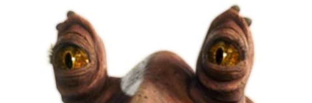 starchar OnlyFans profile picture