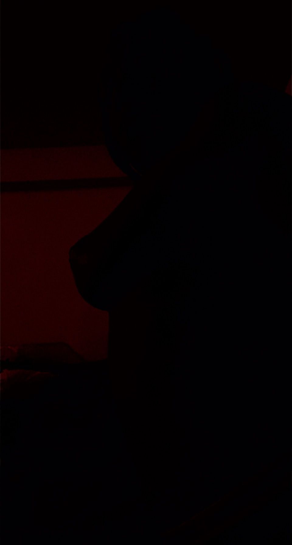 silentspice OnlyFans profile picture