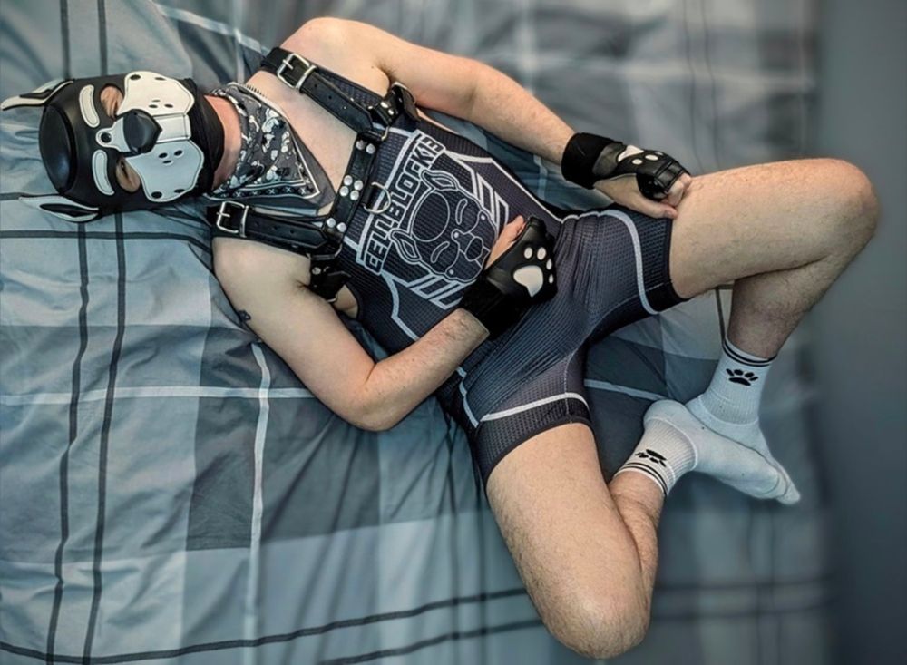 pup-olliee OnlyFans profile picture