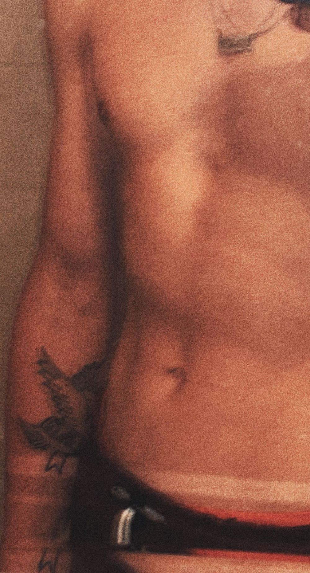 dieser.lowis OnlyFans profile picture