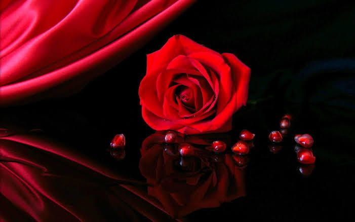 u167940474 OnlyFans profile picture