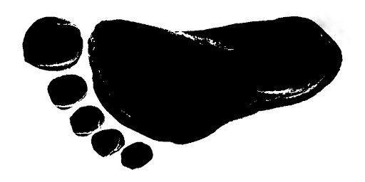 happifeet1 OnlyFans profile picture