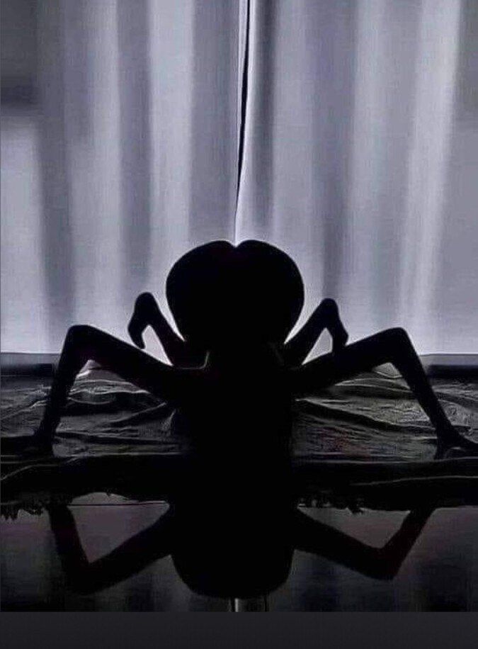 grecalu OnlyFans profile picture