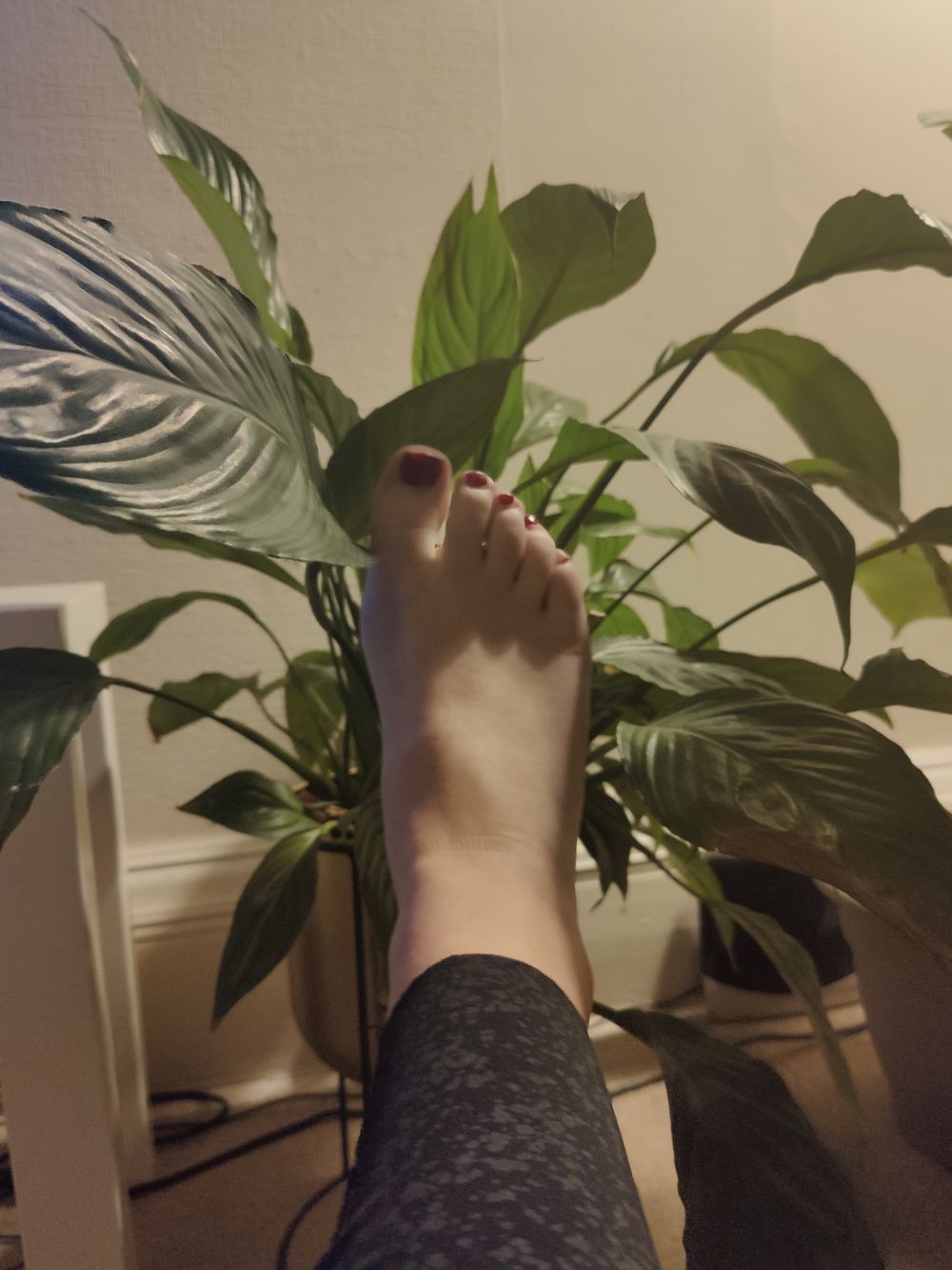 irishgirlie69 OnlyFans profile picture