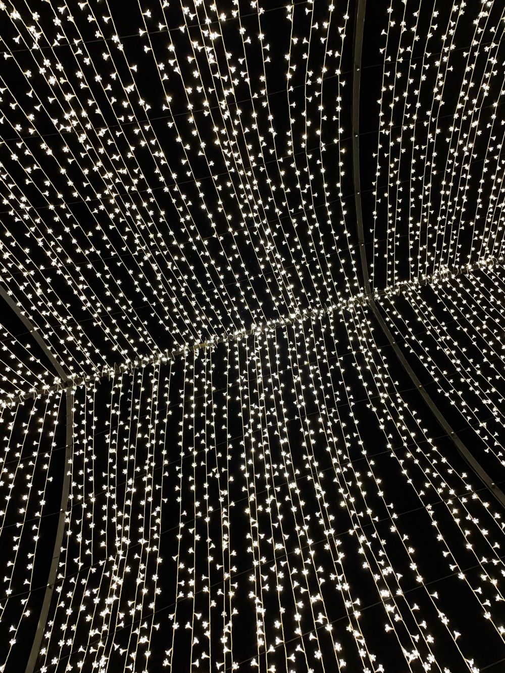 blue_barren OnlyFans profile picture
