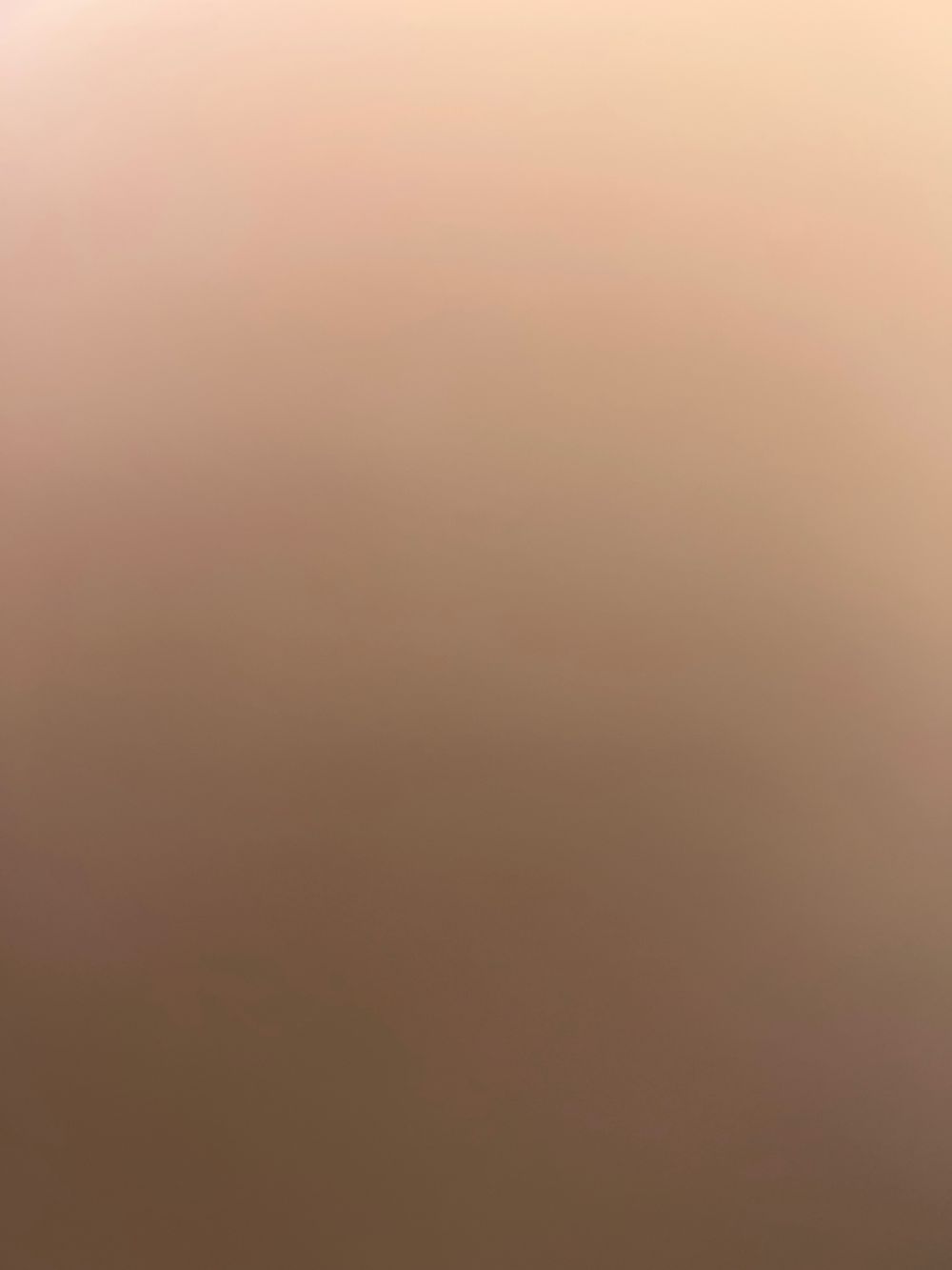 baybeeari OnlyFans profile picture