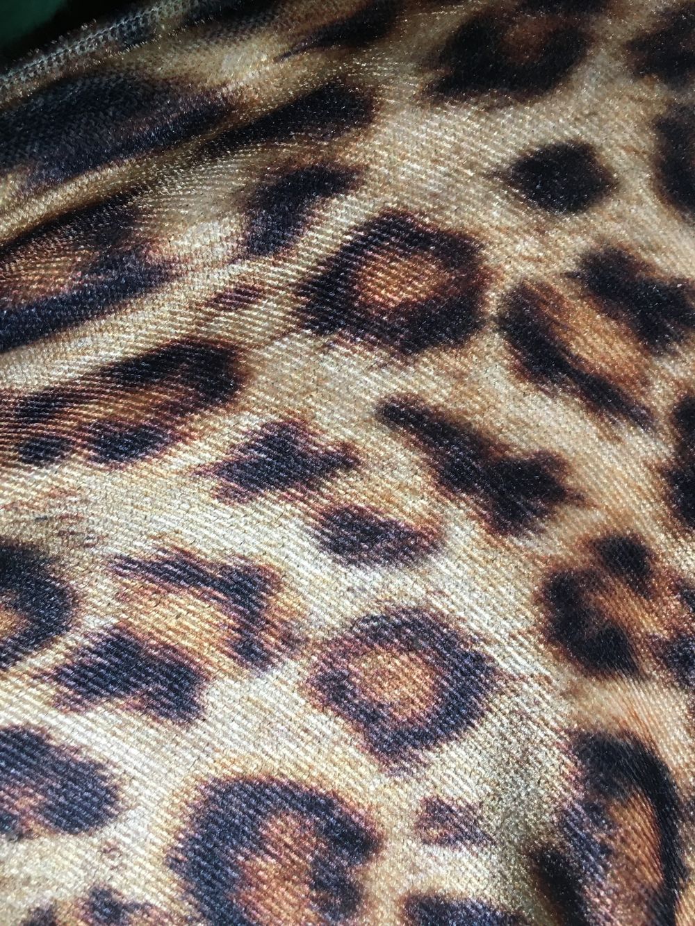 hoeboshorty OnlyFans profile picture