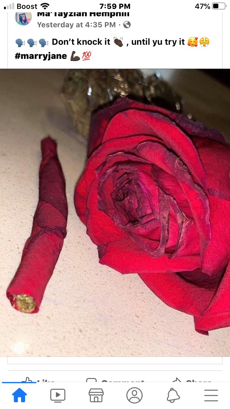 taste_ovf_lovelace OnlyFans profile picture