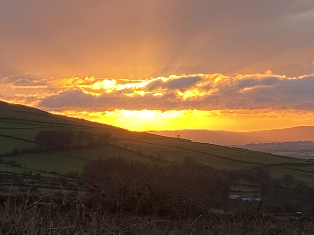bisubdevon20 OnlyFans profile picture