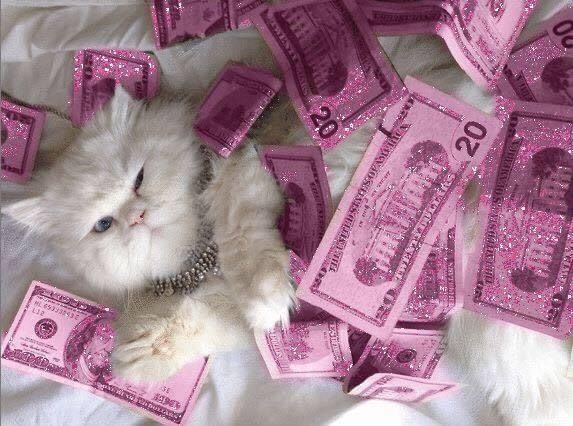 abells OnlyFans profile picture