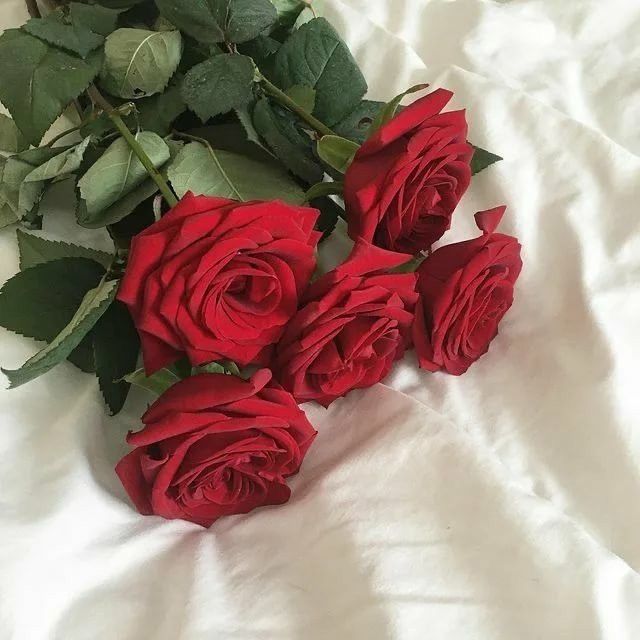 annadoorx OnlyFans profile picture