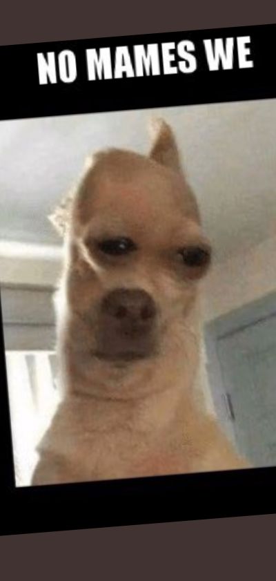 rooboy424 OnlyFans profile picture