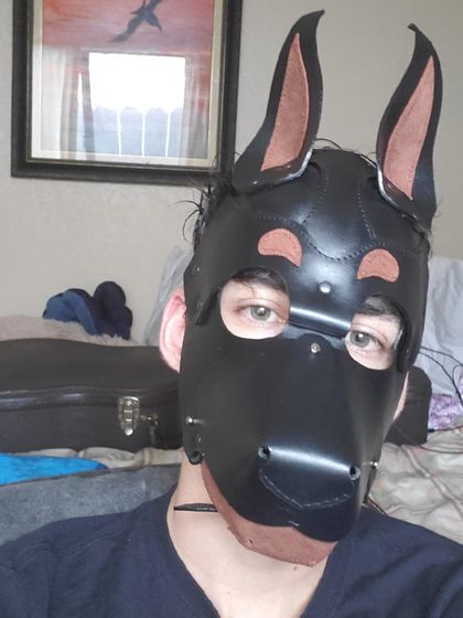indigopup OnlyFans picture