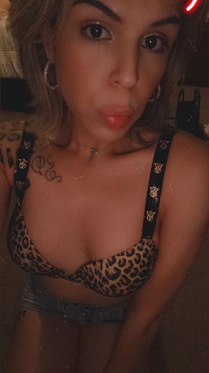 tsvictoriawild OnlyFans picture