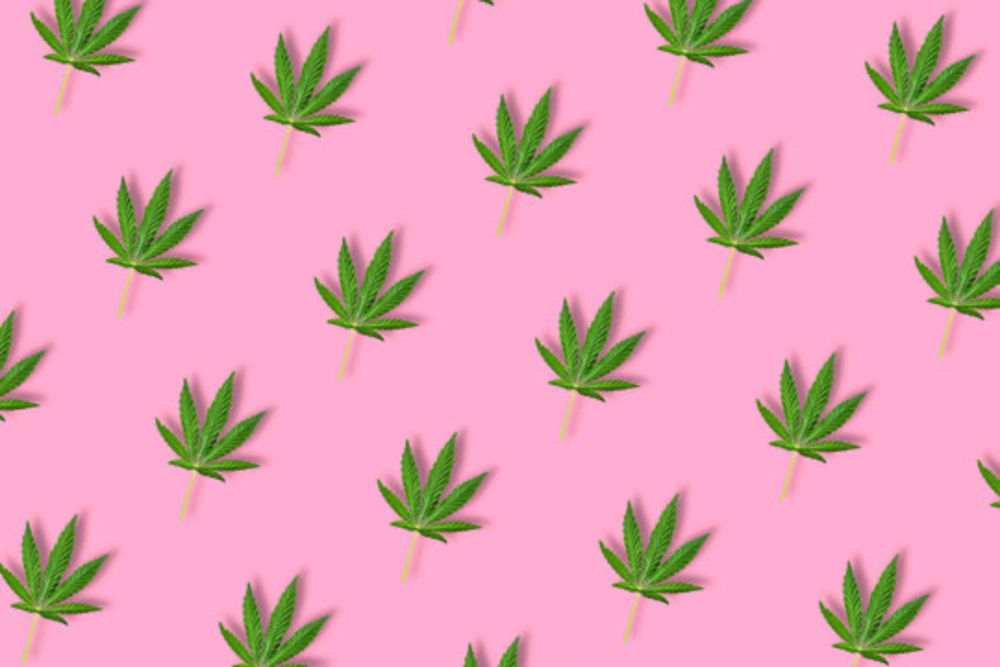 lunaluv420 OnlyFans profile picture