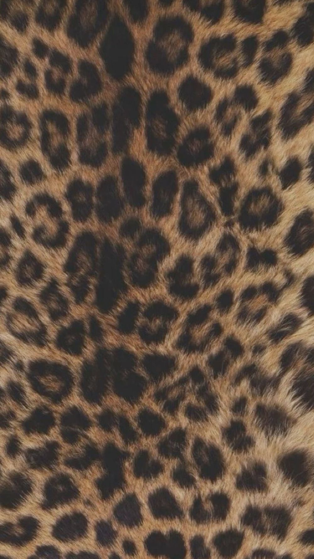 666emonbunni OnlyFans profile picture