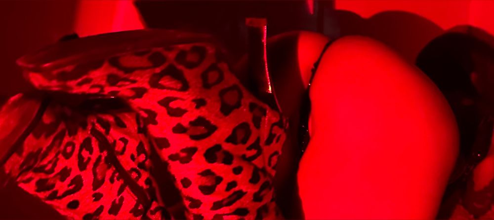 brunesca OnlyFans profile picture