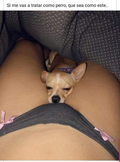 unaparejamas OnlyFans picture