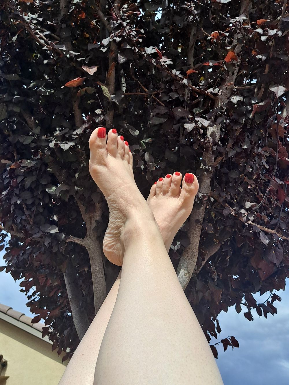 debbie_does_it OnlyFans profile picture