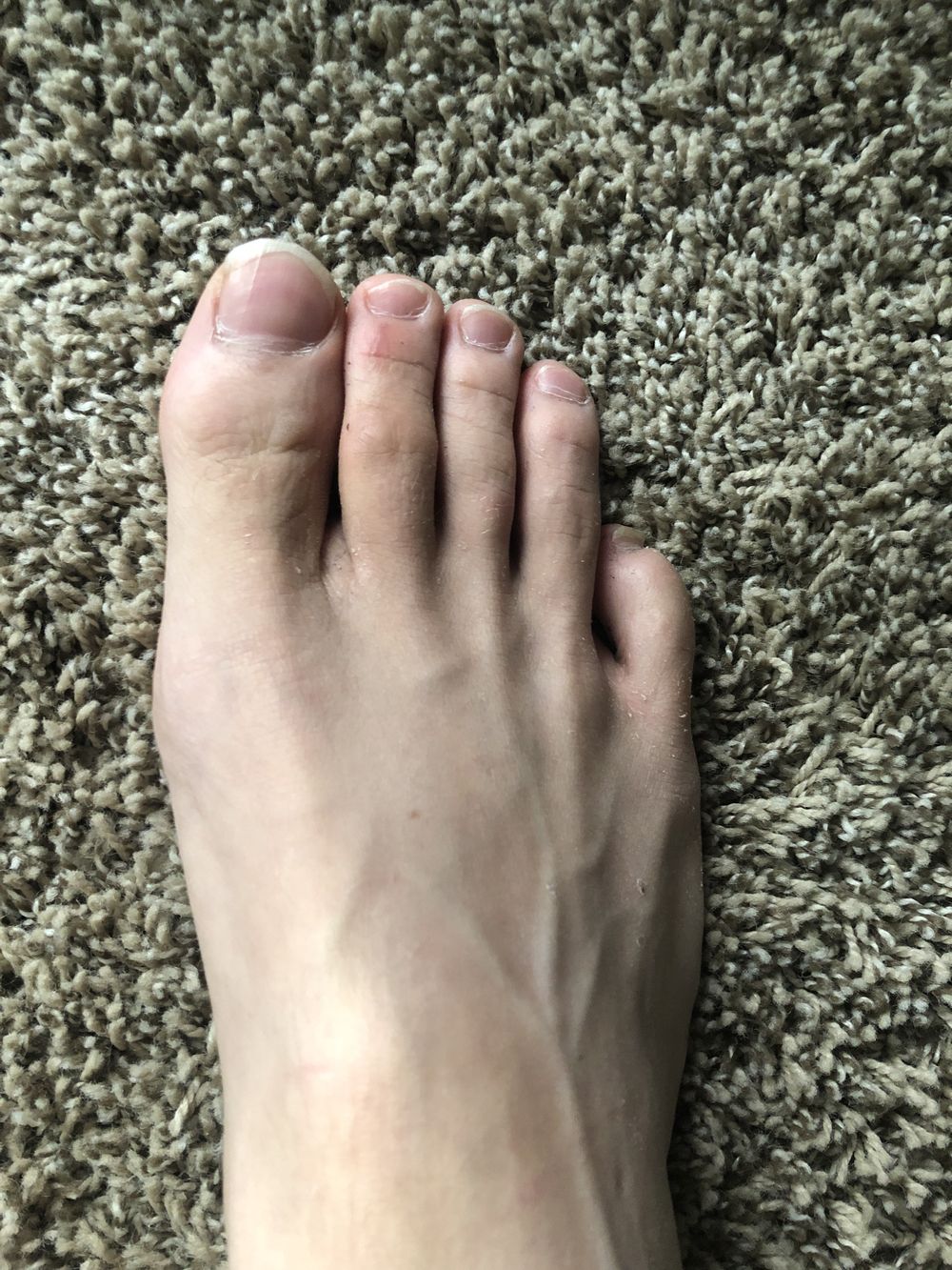 u46514905 OnlyFans profile picture