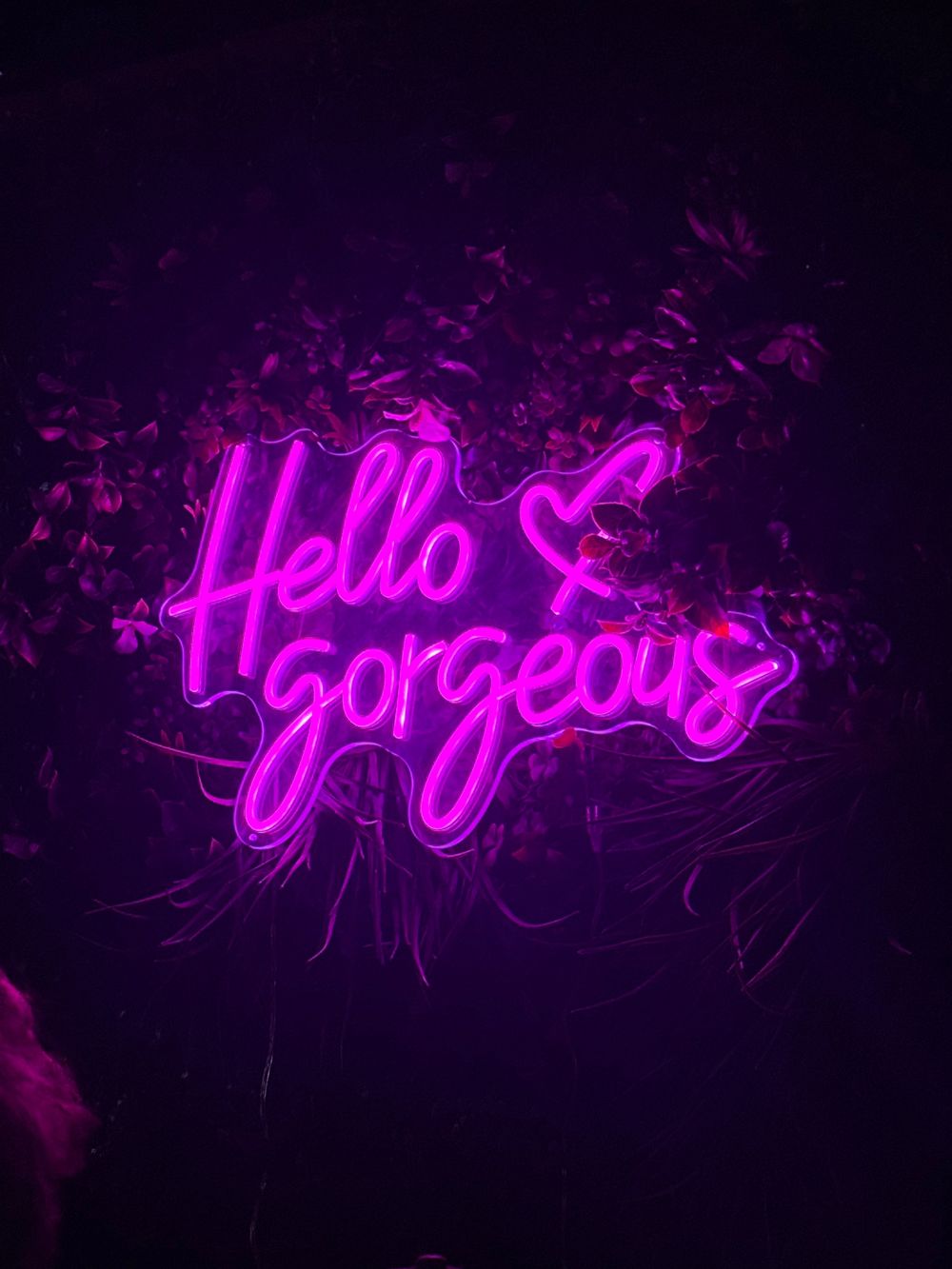 caigejjckj OnlyFans profile picture