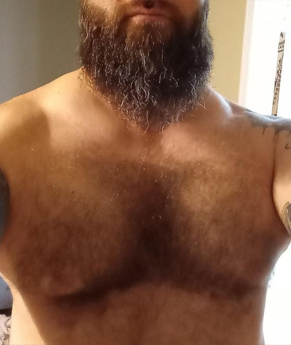 thebearded49439 OnlyFans profile picture