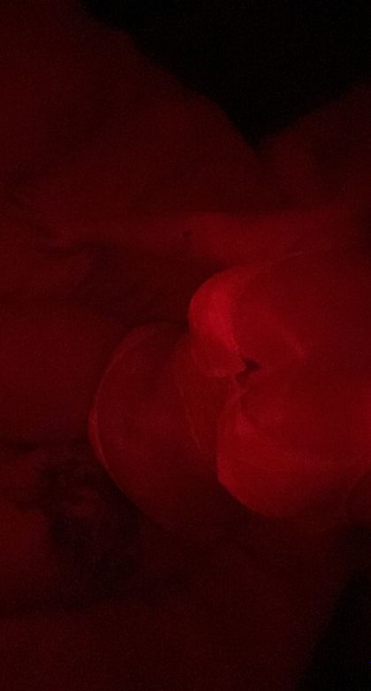 christinx OnlyFans picture