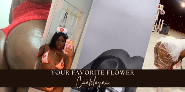 caatelayaa OnlyFans profile picture