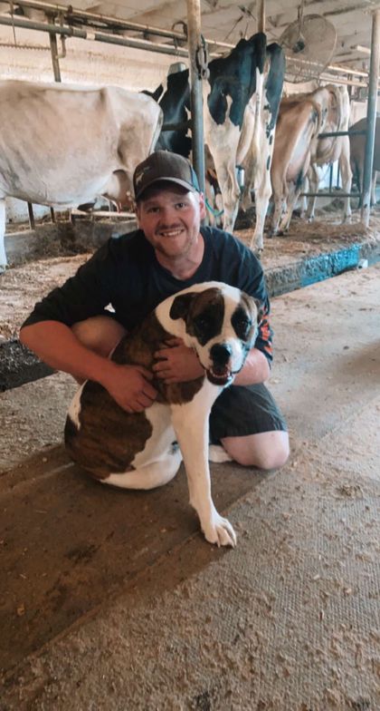 cowman2021 OnlyFans picture