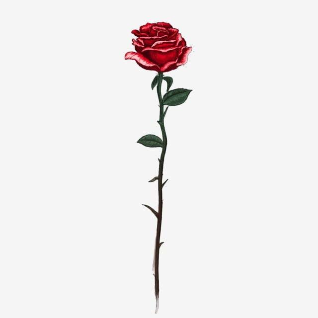 loverosieee OnlyFans profile picture