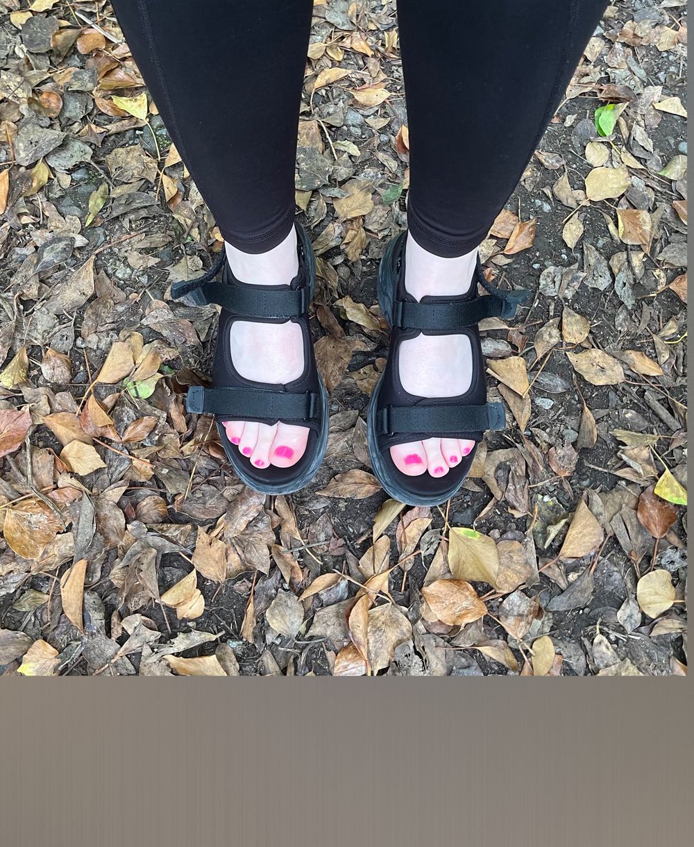 penelopemcd OnlyFans profile picture