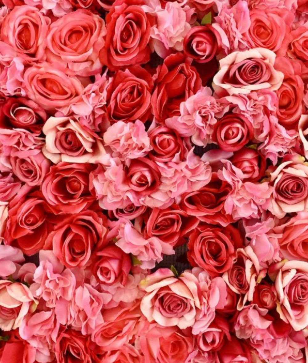 rosemarysbabyy OnlyFans profile picture