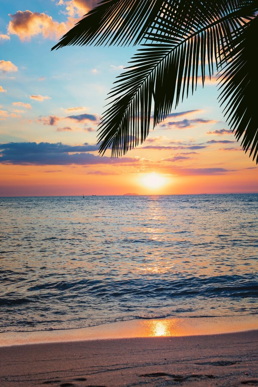 sunkissedsunsets OnlyFans profile picture