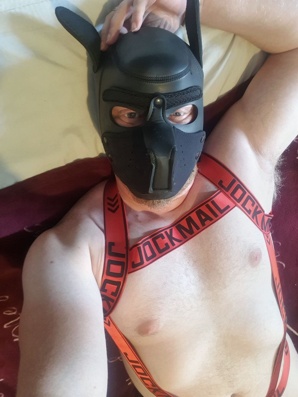 mrsubmissive69 OnlyFans profile picture
