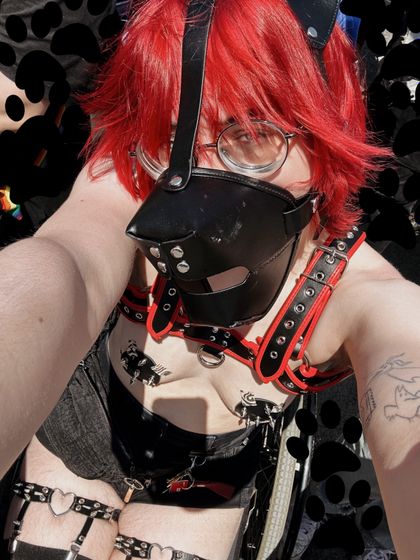 vampbittenpup OnlyFans picture
