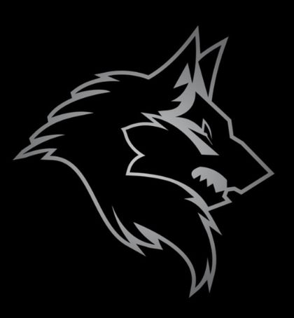 lonewolfproductions OnlyFans picture