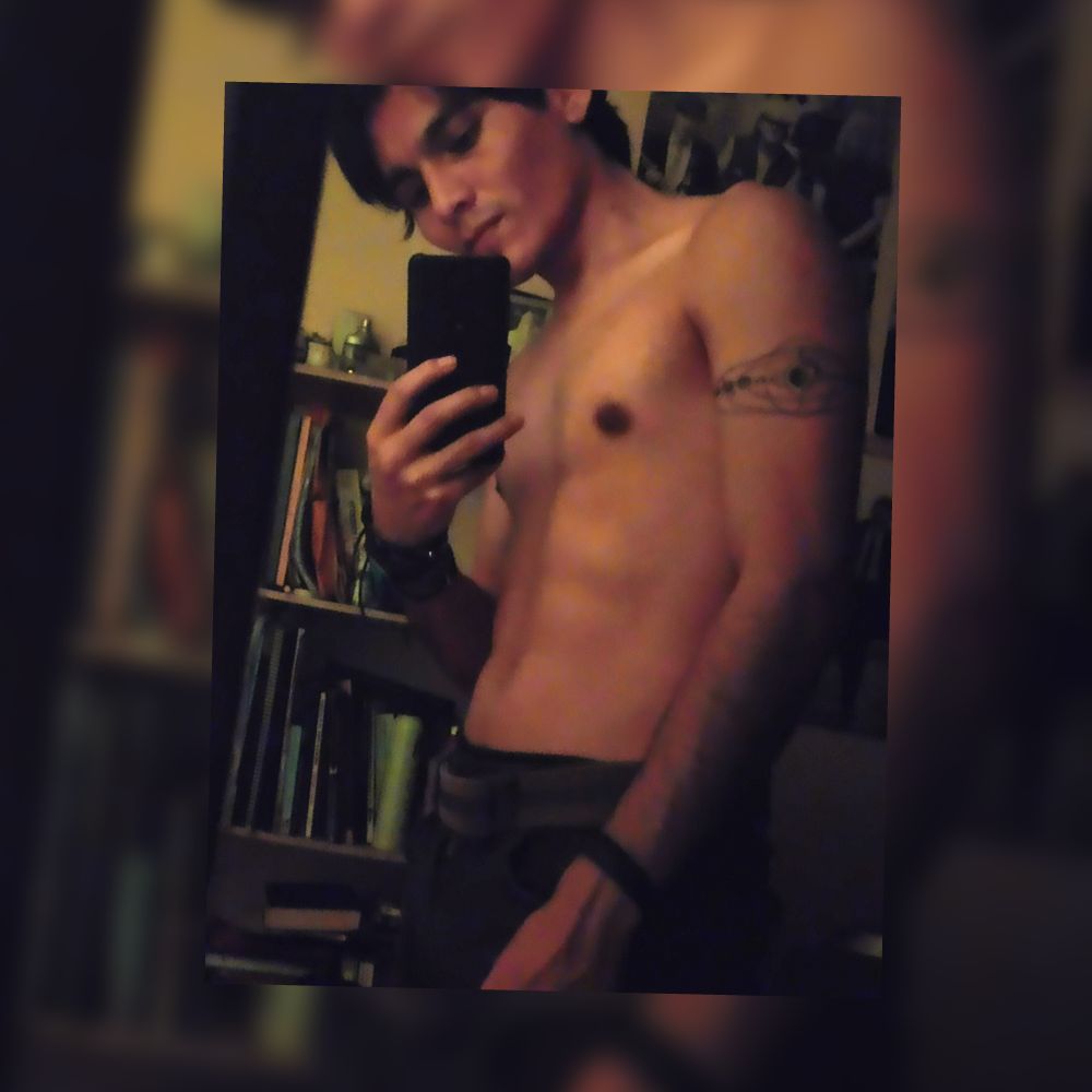 media_noche OnlyFans profile picture
