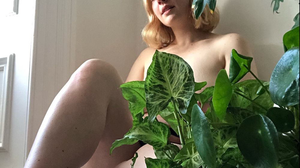 airplantangel OnlyFans profile picture