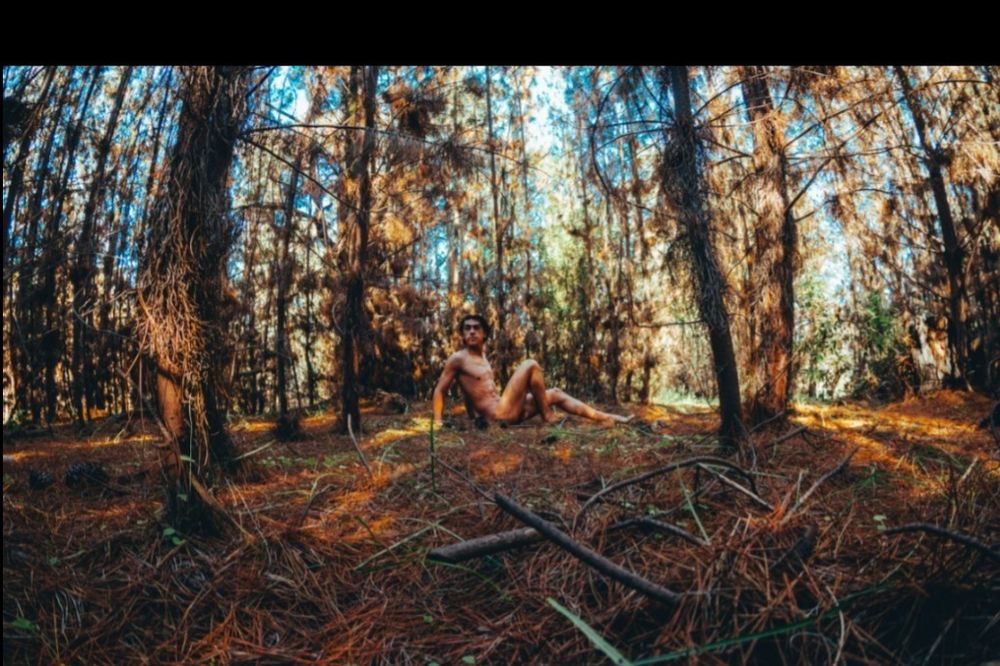rofirec OnlyFans profile picture