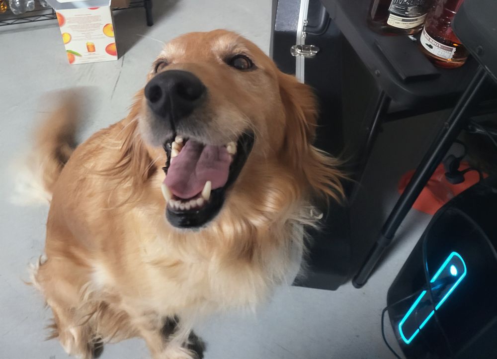 thebestmollydog OnlyFans profile picture