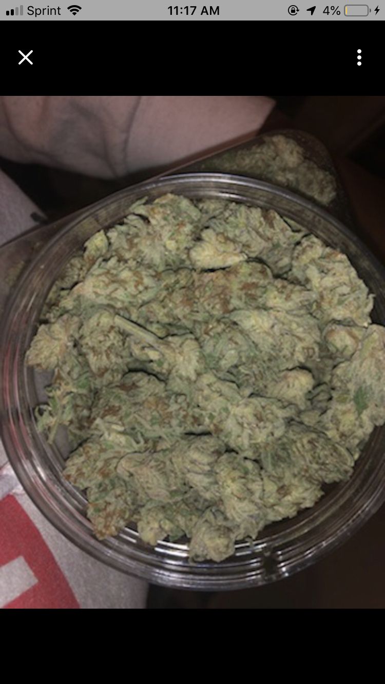 stonerstrokes OnlyFans profile picture