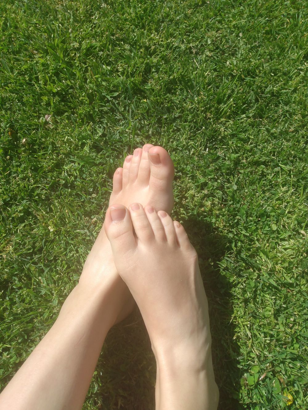 moneytwinkletoes OnlyFans profile picture